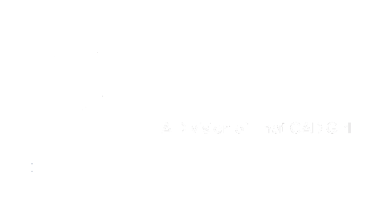 Carlson CAD Solutions